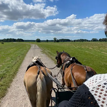 Appartement Boot- Am Kleinen Koenigsstuhl