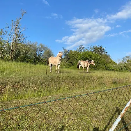 Boot- Am Kleinen Koenigsstuhl شقة *